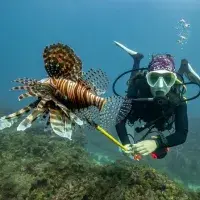 Diving in the Bay of Tela