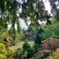 SWAY Photography Competition