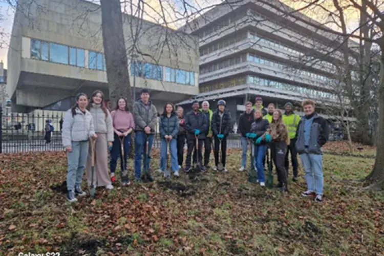 Bulb planting in George Square