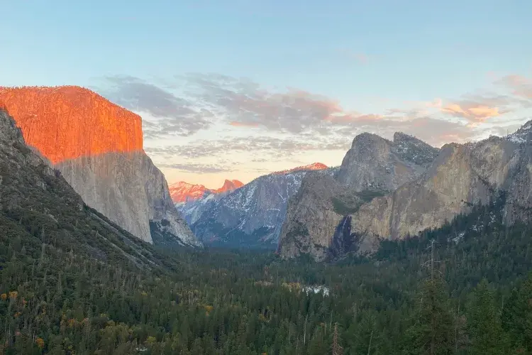 SWAY Photography Competition