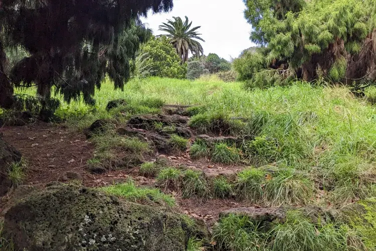 SWAY Photography Competition