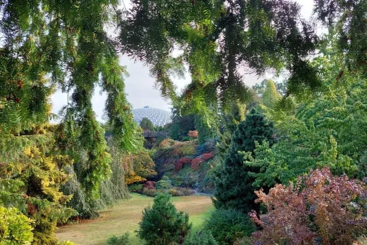 SWAY Photography Competition