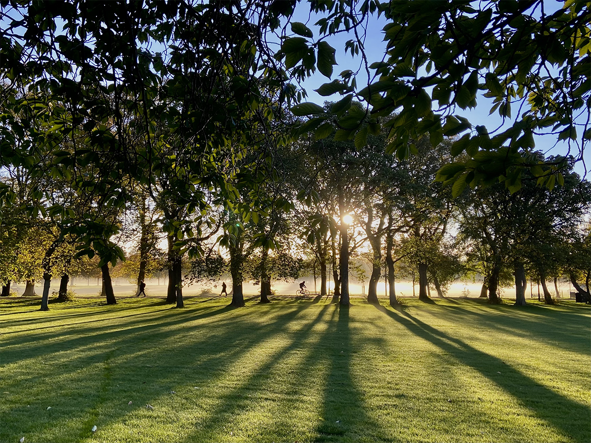 The Meadows in Edinburgh on a sunny autumn morning with long shadows from the trees.