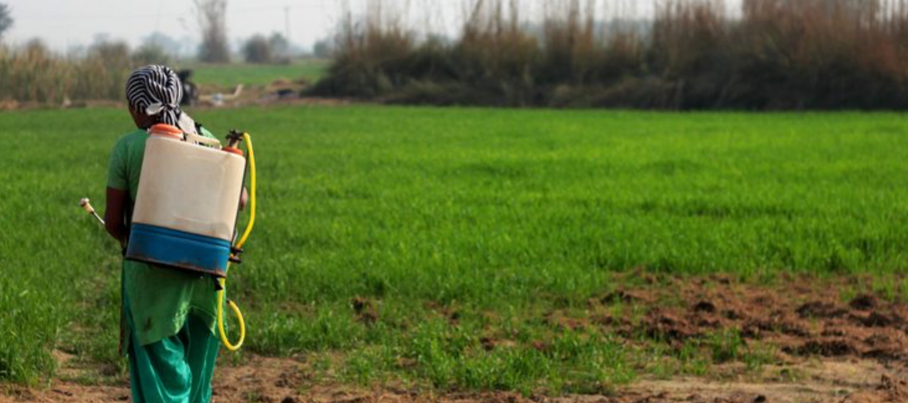 woman spraying crops