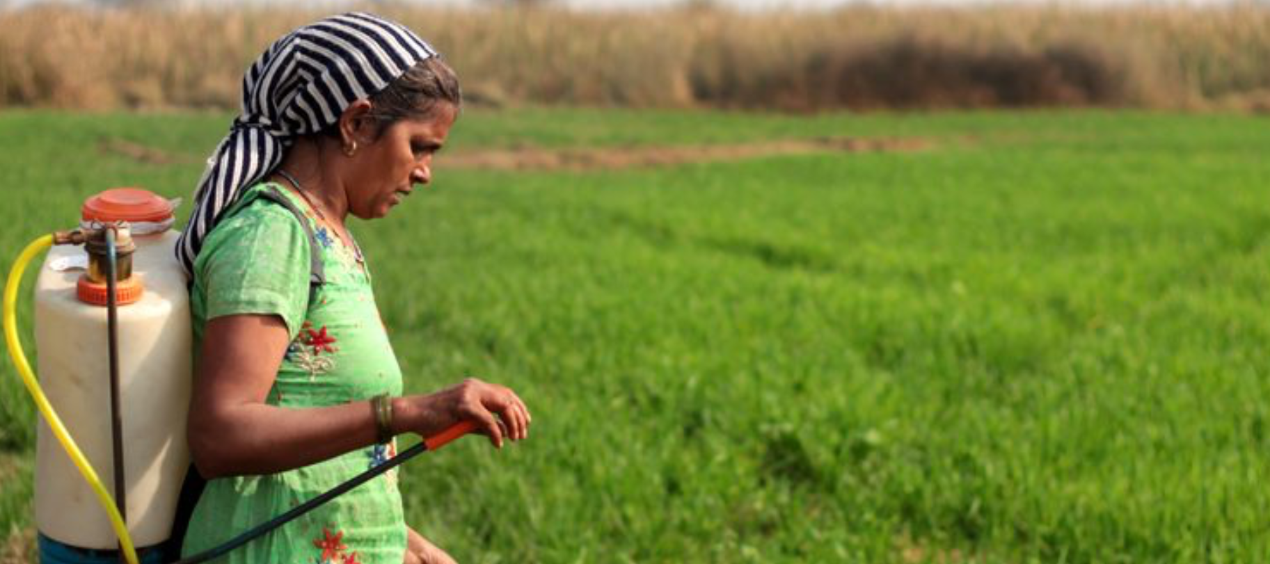 woman spraying crops