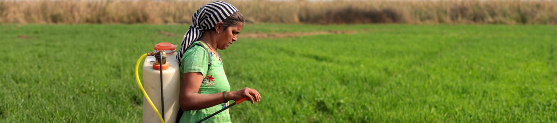 Woman spraying crops by hand