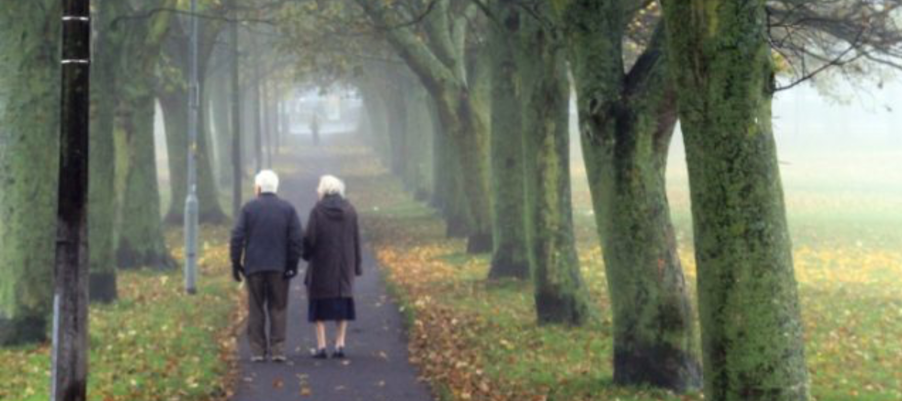 elderly couple walking through trees