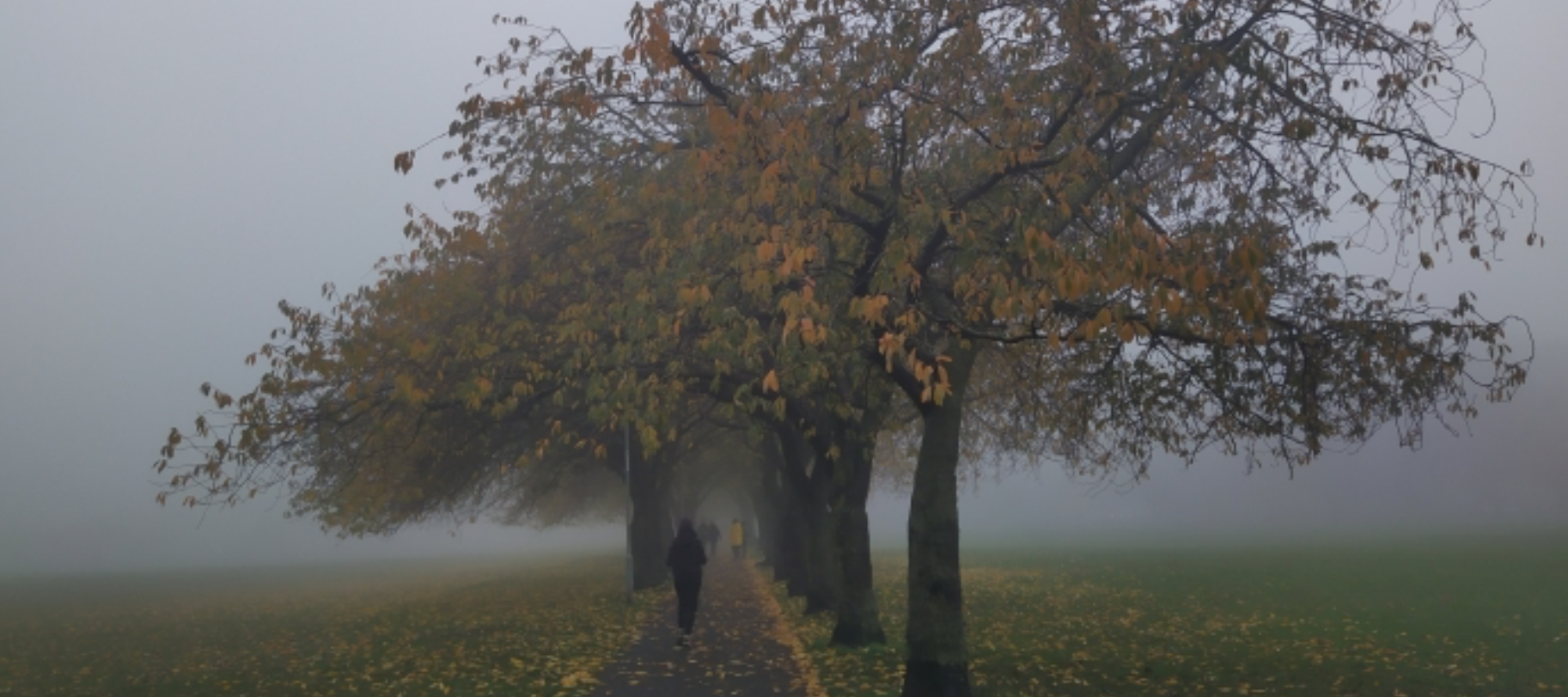 couple standing under tree